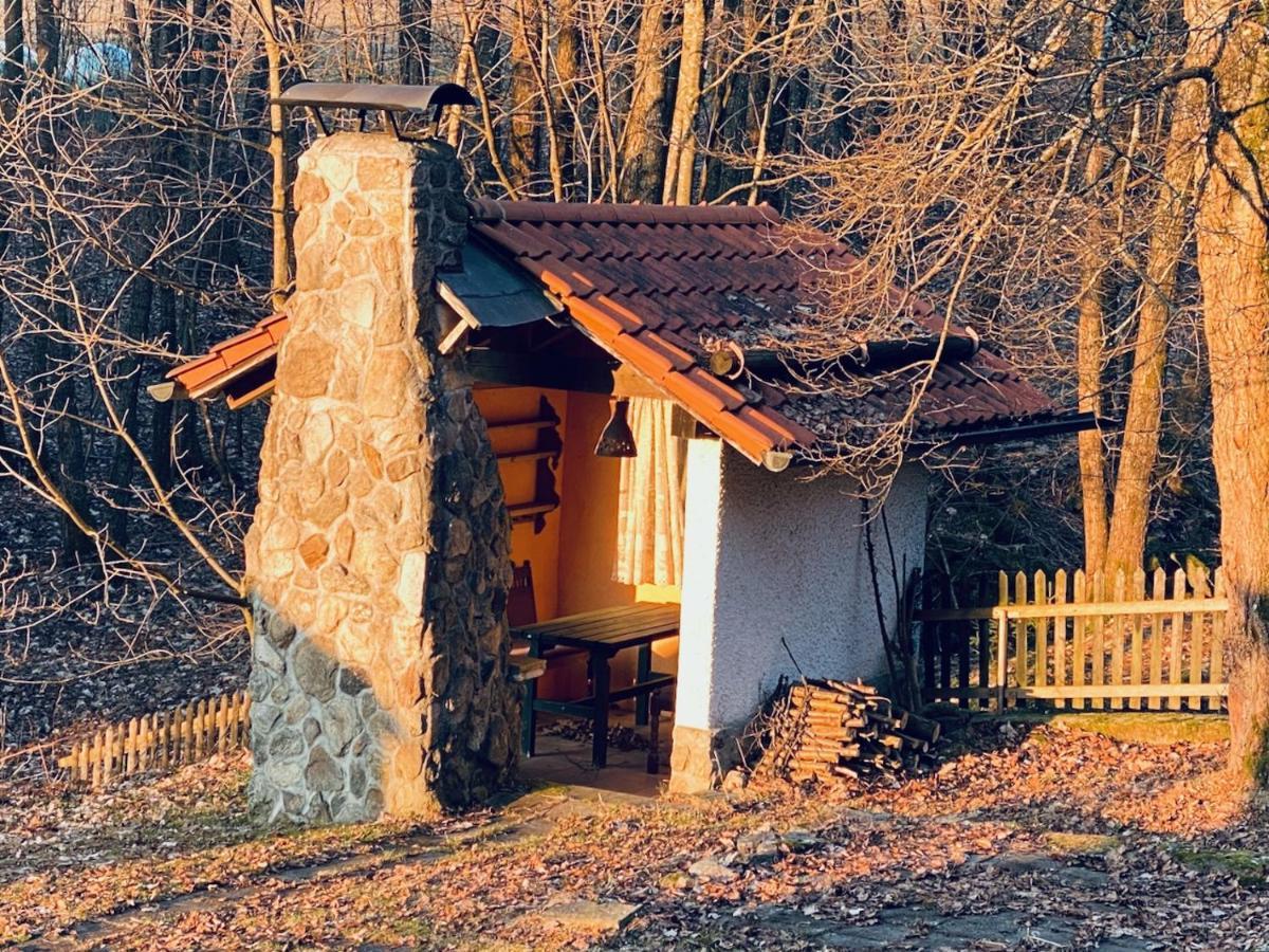 Gartenwohnung Im Gut Sonnenwald Schöllnach المظهر الخارجي الصورة