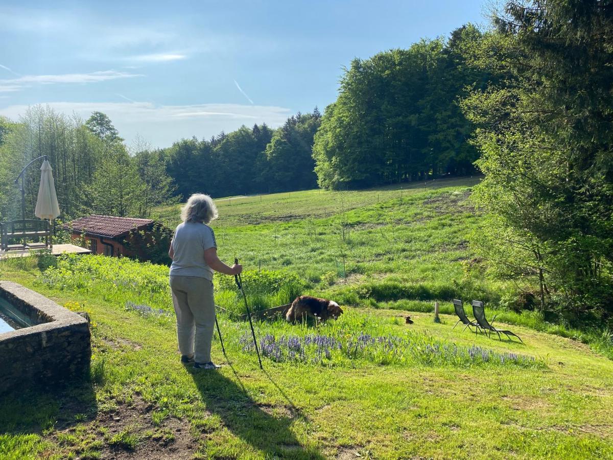 Gartenwohnung Im Gut Sonnenwald Schöllnach المظهر الخارجي الصورة